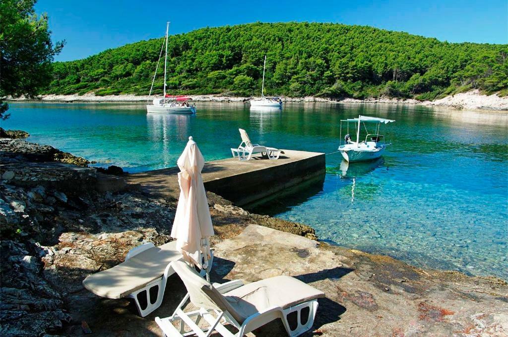 Waterfront Villa With Pool Vela Luka Exterior foto